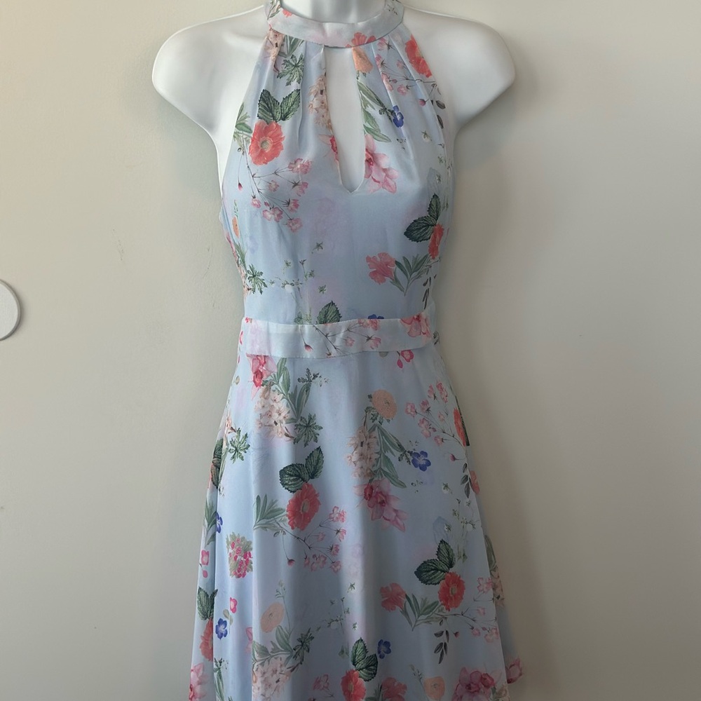 Beautiful Express dress, great for spring & summer